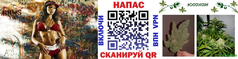 Канабис Bruce Banner  где найти   гидра онион  Тырныауз 